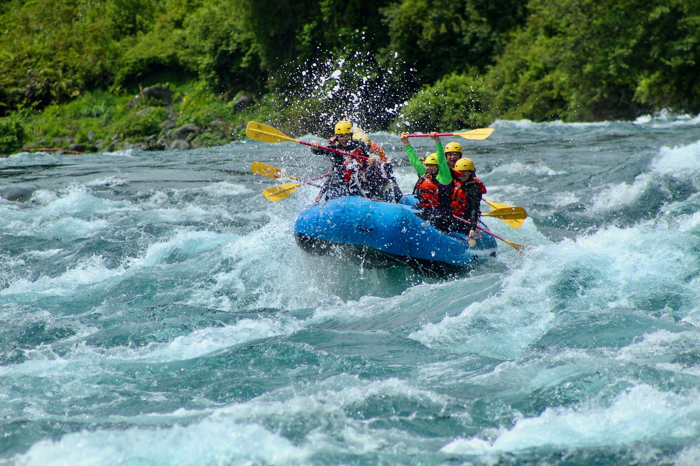 Imagen de la galería